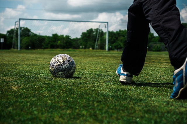 量的志愿者 量的志愿者