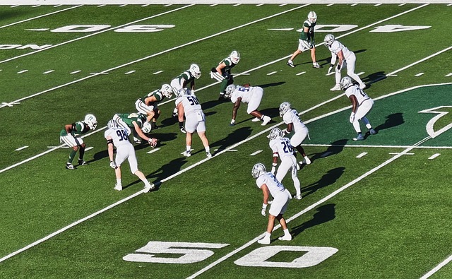 仅仅是一起 仅仅是一起