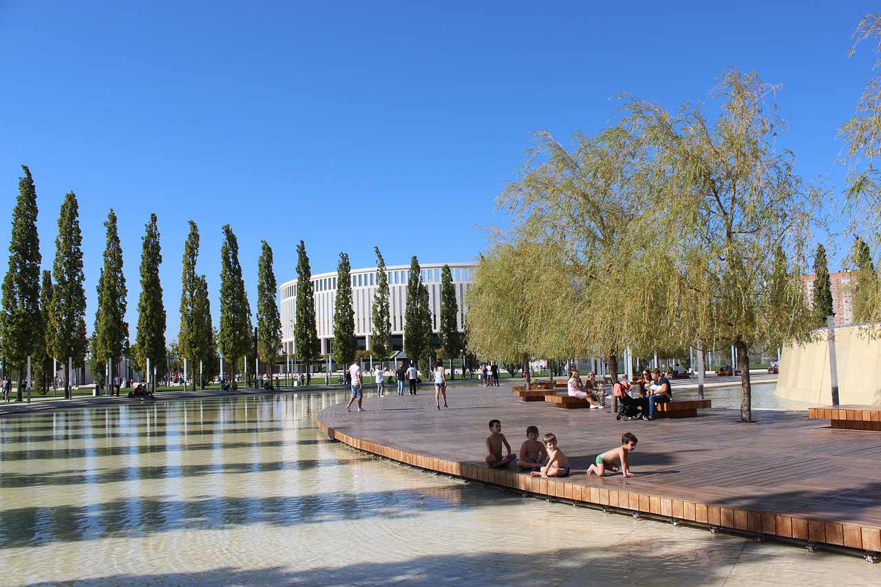 但部分球迷 但部分球迷