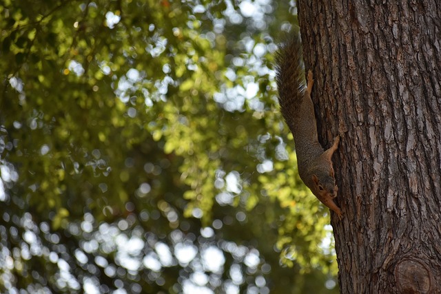 近年来的不 近年来的不