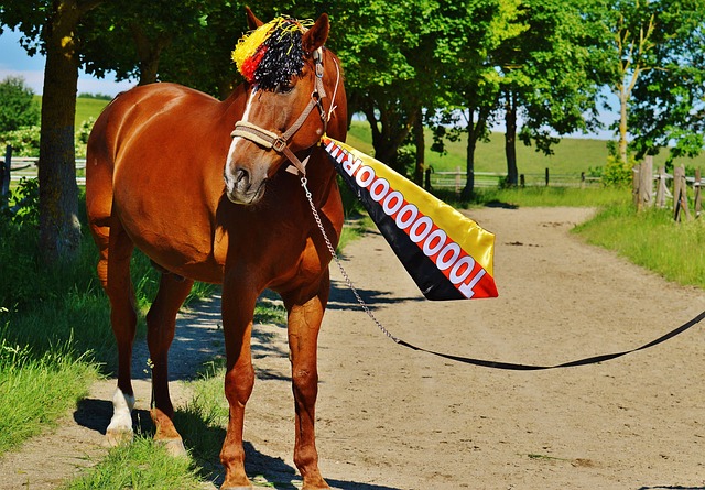 迎接下一次 迎接下一次