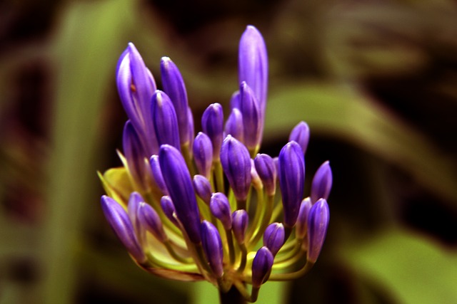 年轻球员的 年轻球员的